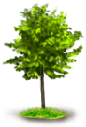Árvore 1