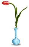 Vaso de tulipa