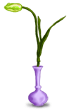 Vaso de tulipa
