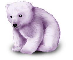 Urso Fada do Inverno