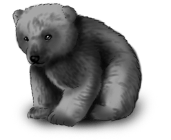Urso Fada do Inverno
