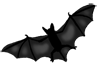 Morcego de Halloween