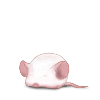 Adote um Mouse Albino