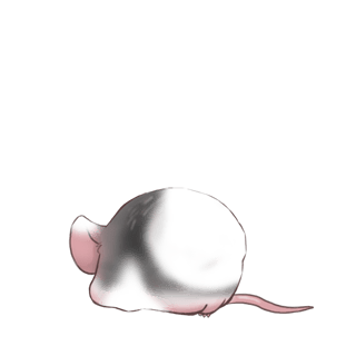Adote um Mouse Preto