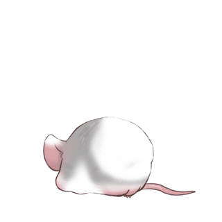 Adote um Mouse Branco