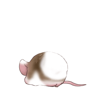 Adote um Mouse Preto e branco